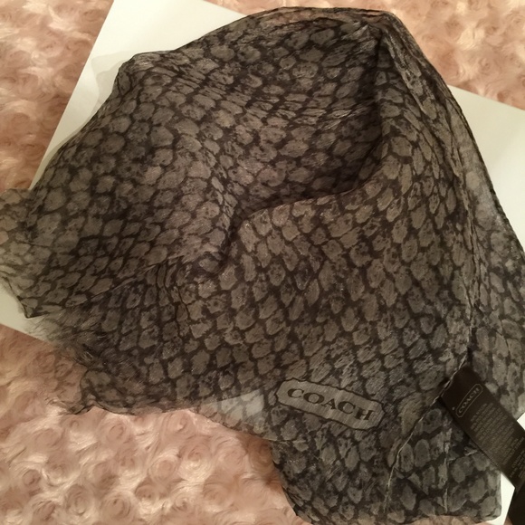 Coach Lightweight Scarf - Picture 1 of 1